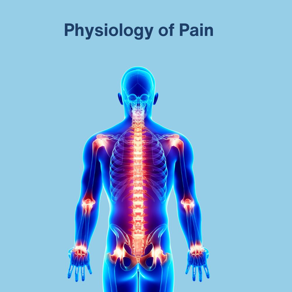 Chronic Pain: An Integrative Approach to Effective Pain Management