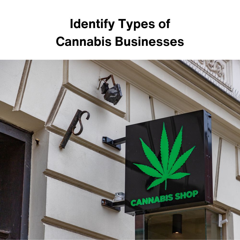 Cannabis—History, Culture, and Business Issues