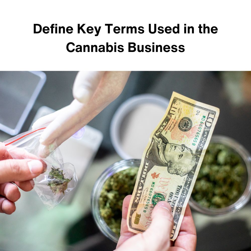 Cannabis—History, Culture, and Business Issues