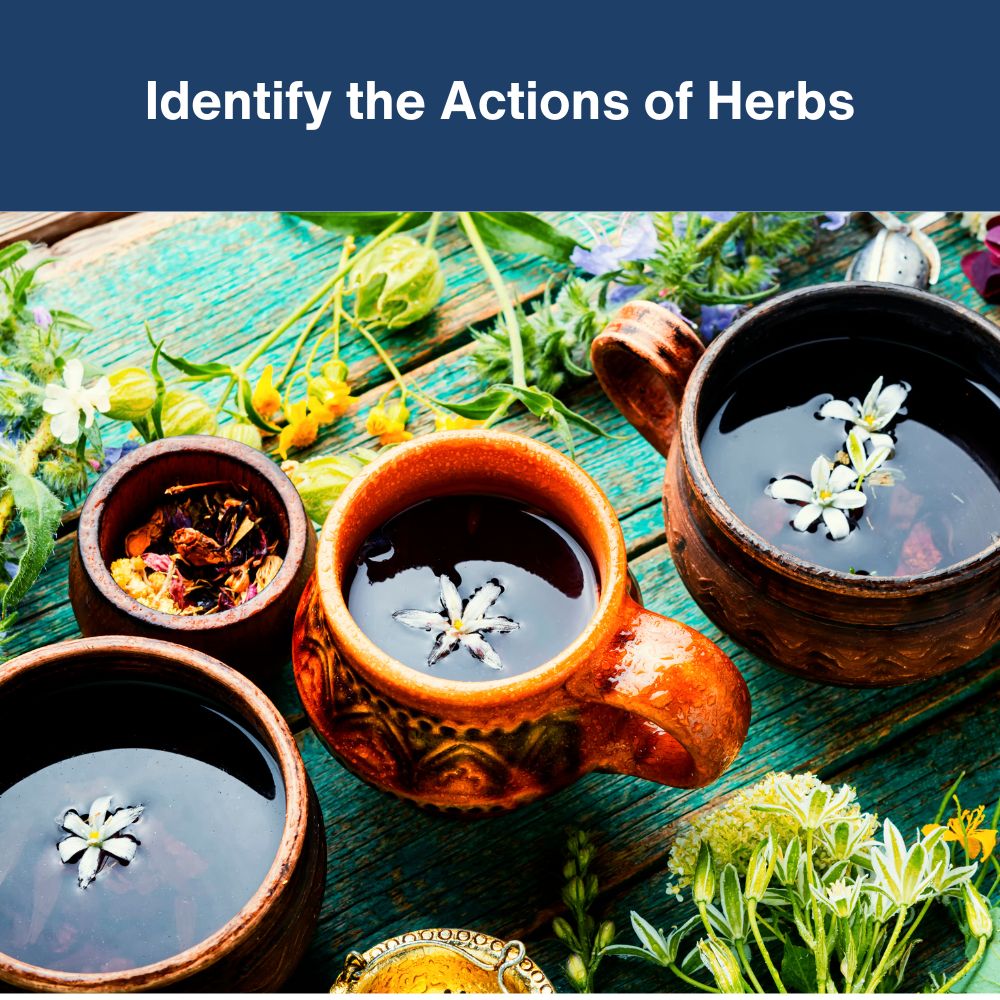 Botanicals, Herbs, and Herbalism